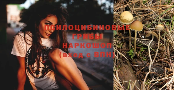 дмт Балахна