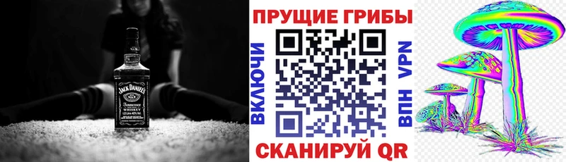 наркотики  Шатура  Галлюциногенные грибы Psilocybine cubensis 